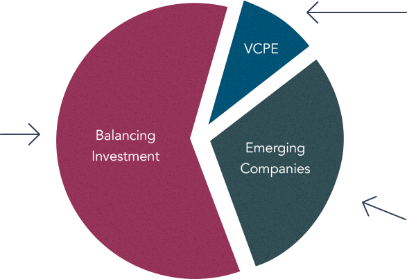 A pie graph that shows the complying investment framework for 188c visa holders